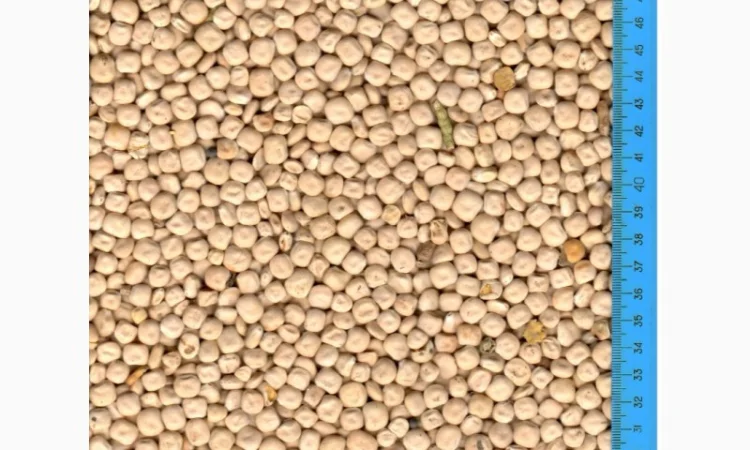 Люпин, Вика, Боби, Пелюшка, Льон - фото № 1