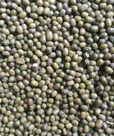 Насіння машу органічного від виробника - фото № 3