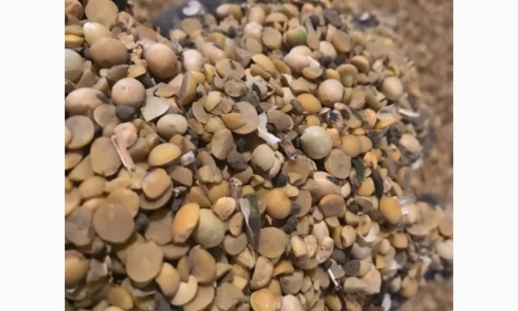 Половинки сої, відходи кукурудзи. Куплю. Самовивіз - фото № 1