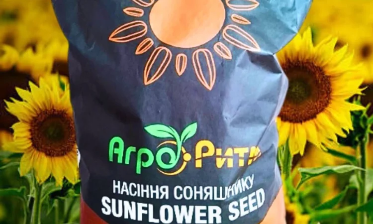 Соняшник Альдазор – высокоурожайный гибрид - фото № 1