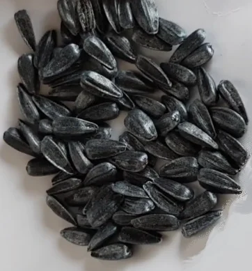 Соняшник Альдазор - высокоурожайный гибрид - фото № 2