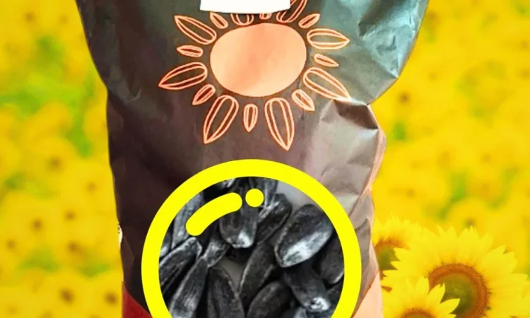 Соняшник Альдазор - высокоурожайный гибрид - фото № 1