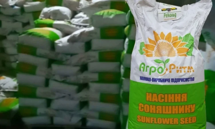 Продажа качественного семени подсолнечника Рекольд - фото № 4