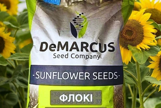 Соняшник Флокі – высокоурожайный сорт - фото № 1