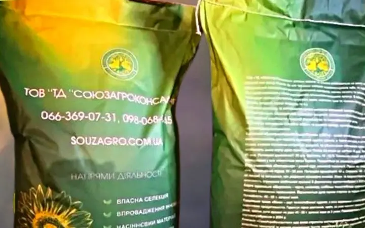 Сортовой соняшник Синельниківський УльтраРанній (СУР) на продаж - фото № 2