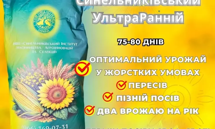 Сортовий соняшник Синельниківський УльтраРанній (СУР) - фото № 1