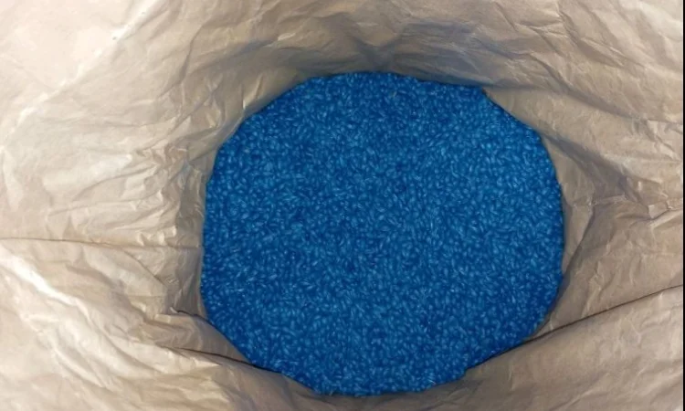 Насіння соняшнику "СОЛО" от AgroDV в Черкассах - фото № 3