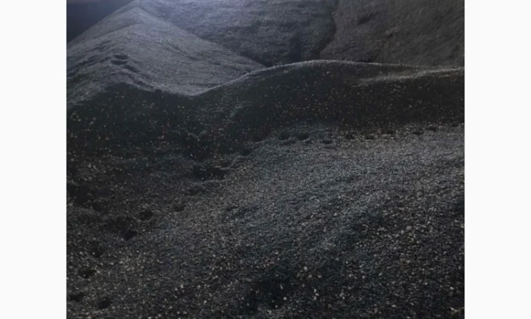 Продажа подсолнечника 2024 года урожая - фото № 1