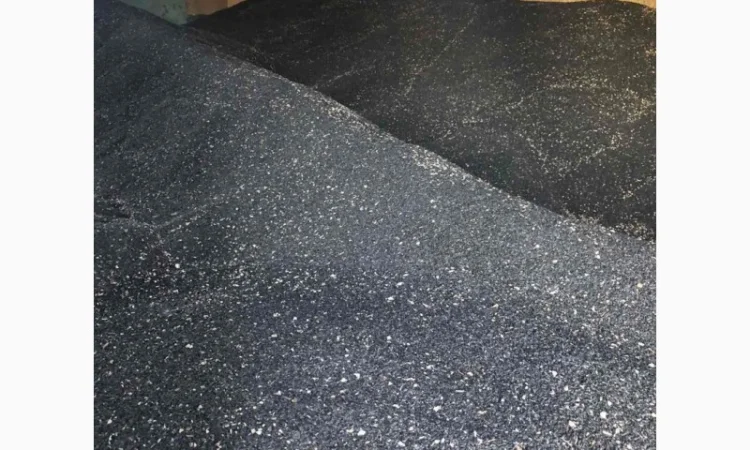 Продажа подсолнечника 2024 года урожая - фото № 2