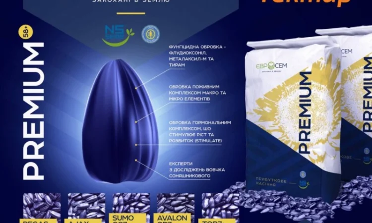 Гибрид подсолнечника ТОР 7+ NS H 7749 - фото № 1