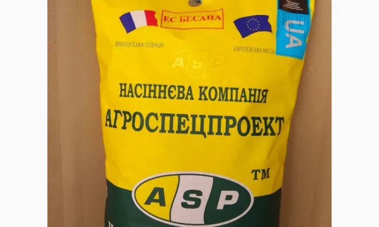 Гібрид соняшнику Бесана на продаж - фото № 1