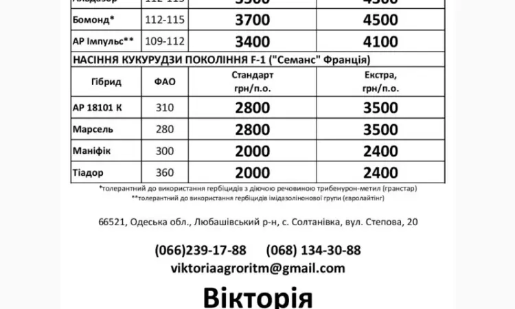 Посівний матеріал соняшнику - фото № 1