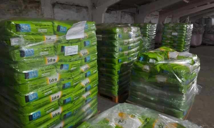 ЕС Белла 2024 - фото № 1