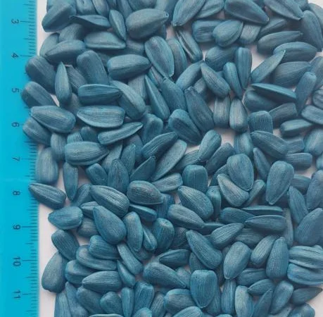 Насіння кондитерського сорту соняшника Смарагд в продаже - фото № 1