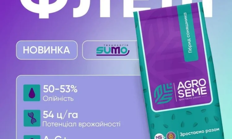 Семена гібрида соняшнику Флеш під гранстар - фото № 3