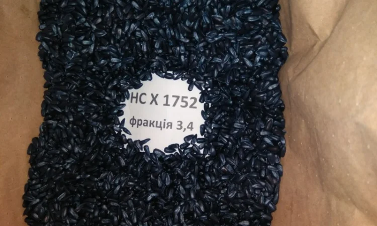 Гібрид соняшника НС Х 1752 SUMO (під Гранстар) - фото № 4