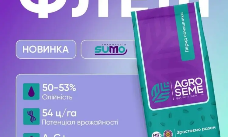 Насіння соняшнику гібрид ФЛЕШ (під гранстар) в продажу - фото № 2