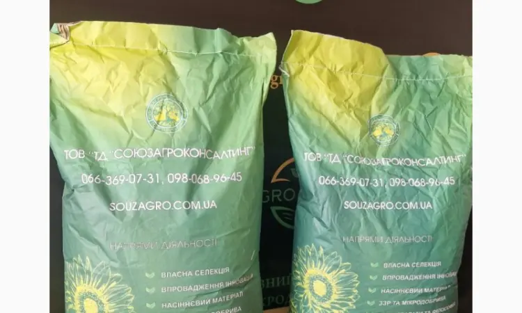 Насіння сортового соняшника Сур на продаж - фото № 1