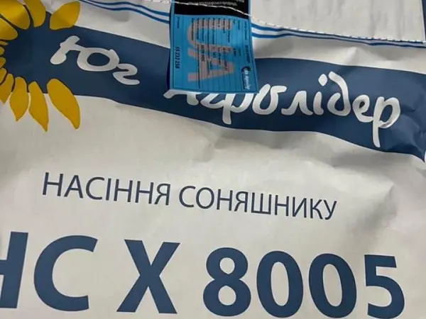 Насіння соняшника гібрид НС Х 8005 - фото № 1