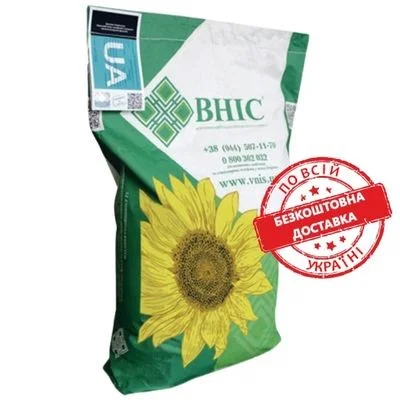 Насіння соняшника гібрид Вегас під Гранстар - фото № 2
