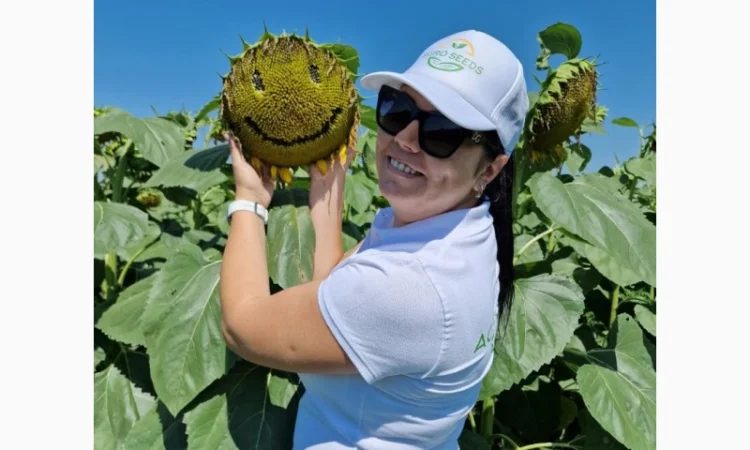 Насіння соняшника КЛАУС для високих врожаїв - фото № 2