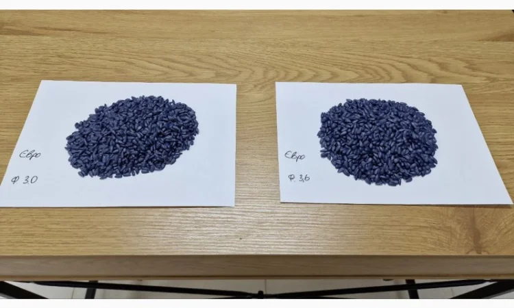 Насіння соняшника Євро – високоврожайний гібрид - фото № 1