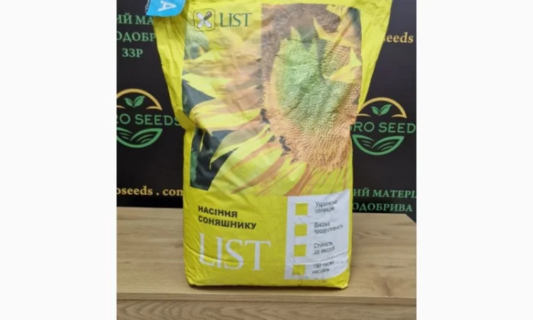 Насіння соняшника Євро – високоврожайний гібрид - фото № 2
