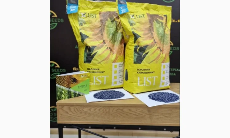 Насіння соняшнику Командор 777 - високий потенціал урожайності - фото № 1
