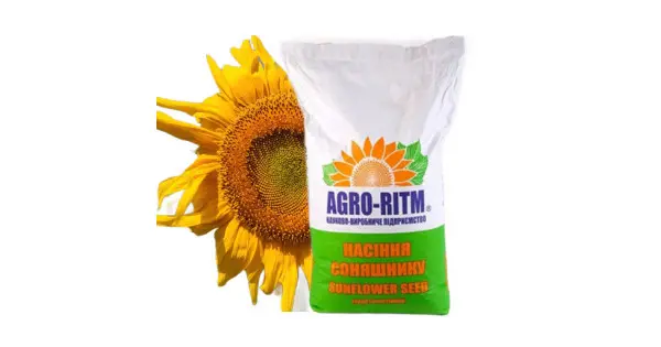 Насіння соняшника гібрид Бомонд під Гранстар 60г/га - фото № 2