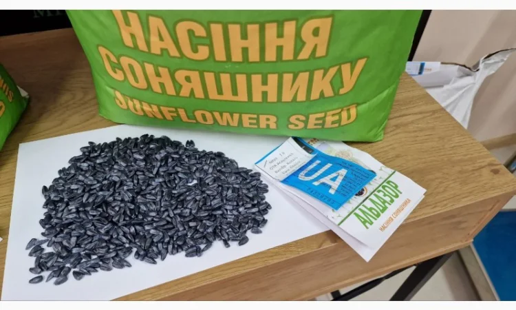 Насіння соняшника Альдазор під Гранстар - фото № 3