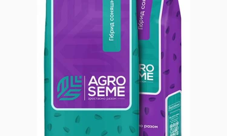 Насіння соняшника гібрид НС Х 7902 під гранстар - фото № 3