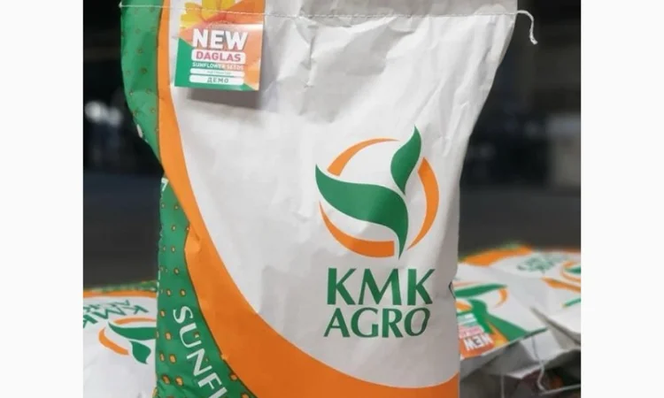 Насіння соняшнику гібрид ДАГЛАС в продажу - фото № 1