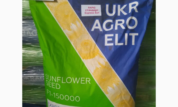 Продается семена подсолнечника Рапид (фракция стандарт+) под технологию Експресс - фото № 1