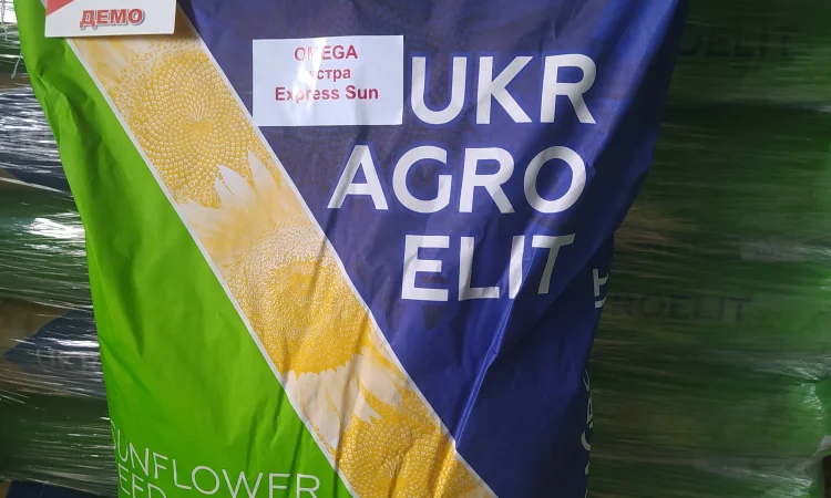 Продам семена подсолнечника Омега (фракция экстра) под технологию Экспресс - фото № 1