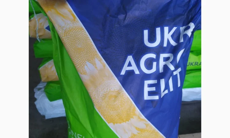 Продам семена подсолнечника Рапид (фракция премиум) под технологию Экспресс - фото № 1