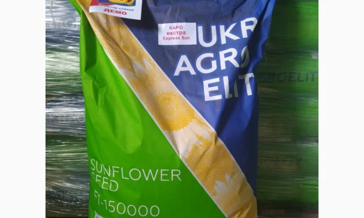 Продается семена подсолнечника Рапид (фракция экстра), устойчив к заразихе - фото № 1