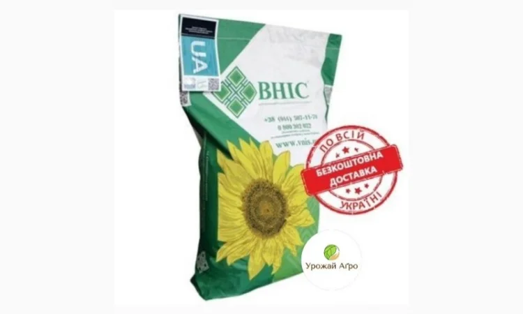 Насіння соняшника гібрид Фолк під гранстар (стандарт)(екстра) 2023 рік - фото № 1