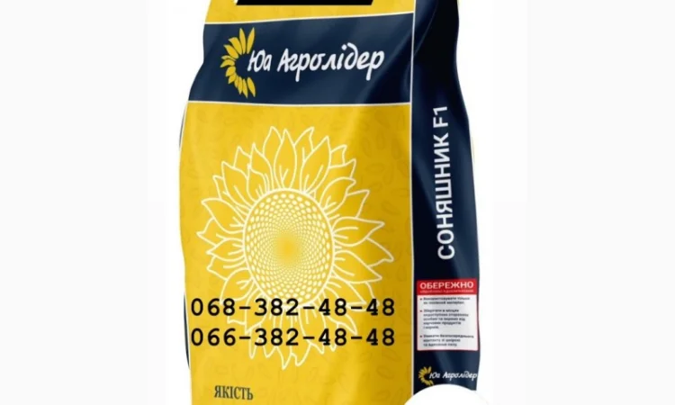 Насіння соняшника гібрид Імісан під євро-лайтинг ( екстра Плюс)(екстра)(стандат)2023р ht - фото № 1