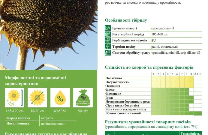 Насіння соняшника ФОЛК під гранстар - фото № 3