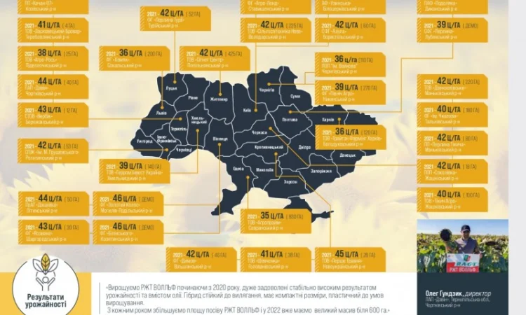 Насіння соняшника ВОЛЛЬФ RAGT - ранньостигле - фото № 2