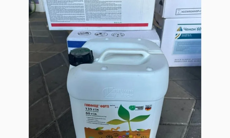 Насіння соняшнику ЕС БЕЛЛА (ES BELLA) ранньостиглий гібрид - фото № 1