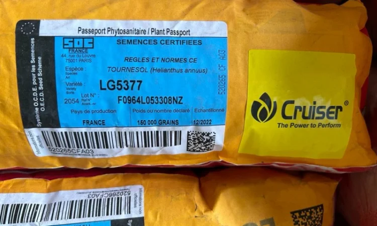 Насіння соняшника LG 5377 от Limagrain - фото № 1