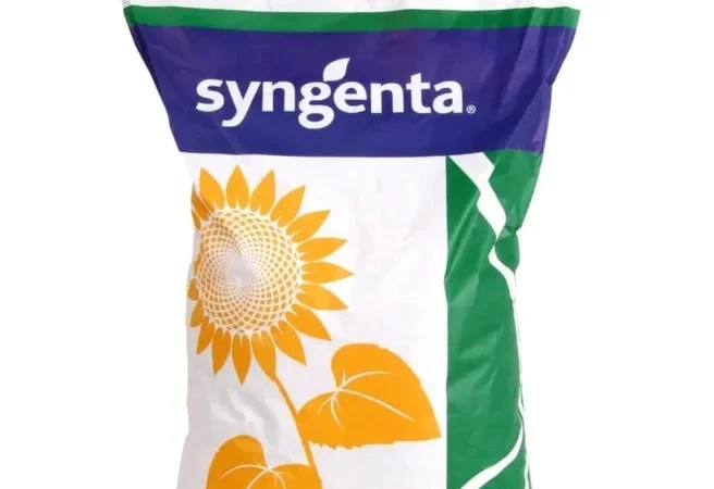 Сайберік HTS - семена подсолнечника - фото № 1