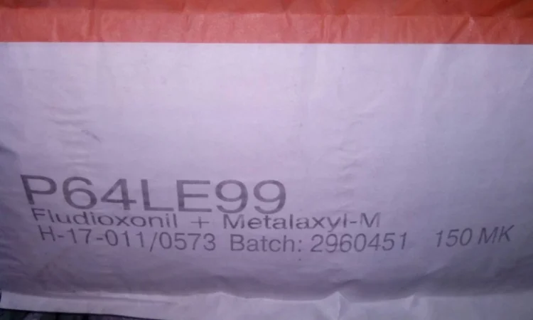 Насіння соняшника PIONEER P64LE99 (П64ЛЕ99) в продаже - фото № 2