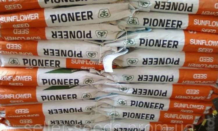 Насіння соняшника PIONEER P64LE99 (П64ЛЕ99) в продаже - фото № 1