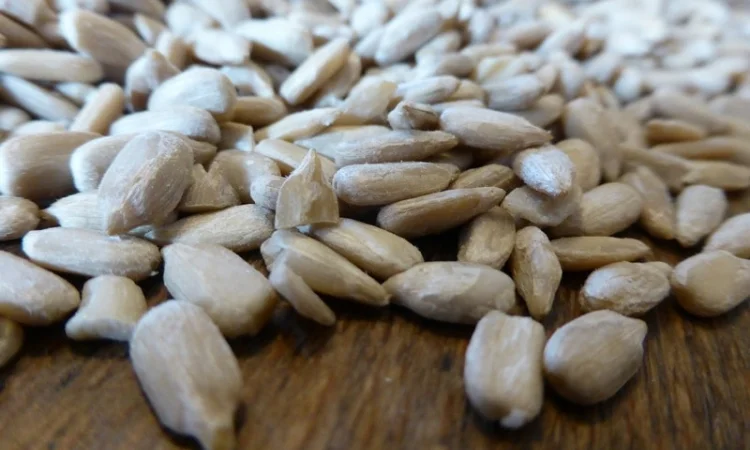 Покупаем семечки подсолнечника масленичный и кулинарный на экспорт от 20 тонн - фото № 1