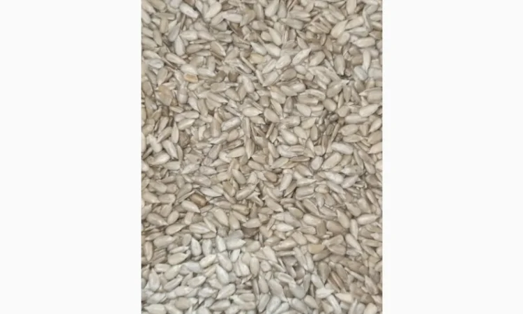 Продажа ядра семян подсолнечника на экспорт от производителя, от 20 тонн - фото № 3