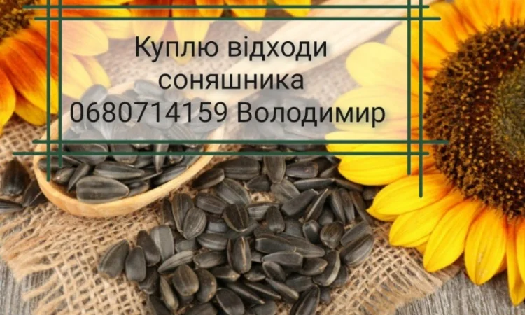Закуповуємо відходи соняшника - фото № 1