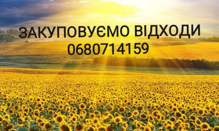 Купуємо відходи соняшника - фото № 1