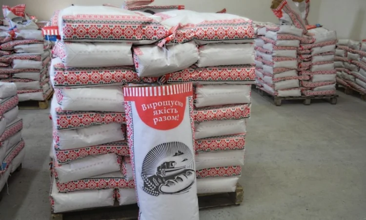 Насіння соняшника Ново-Альє | Євро-Лайтінг - фото № 3